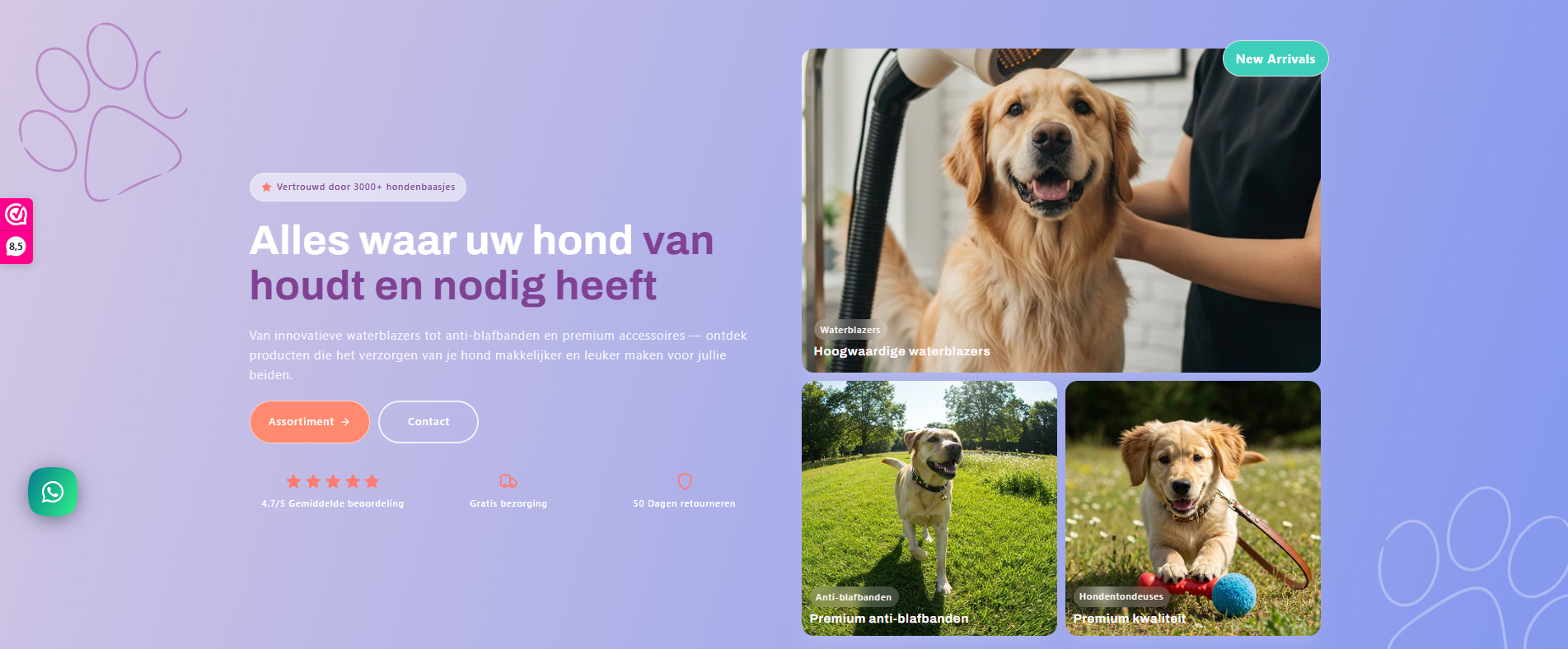 RobustRise Hero Section